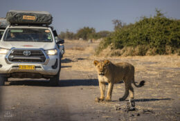 Botswana (28/52)